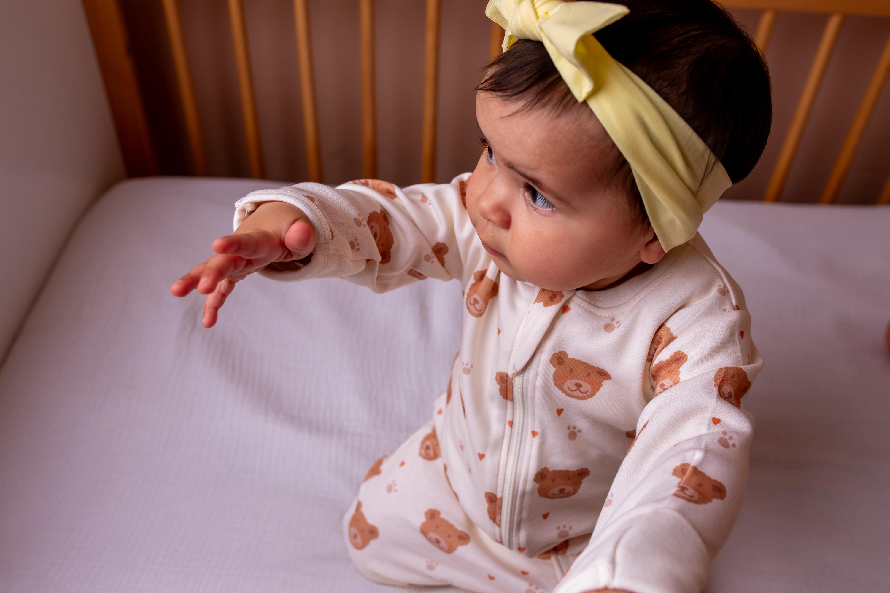 Lovely Teddy bears organic cotton ZippyBoo suit