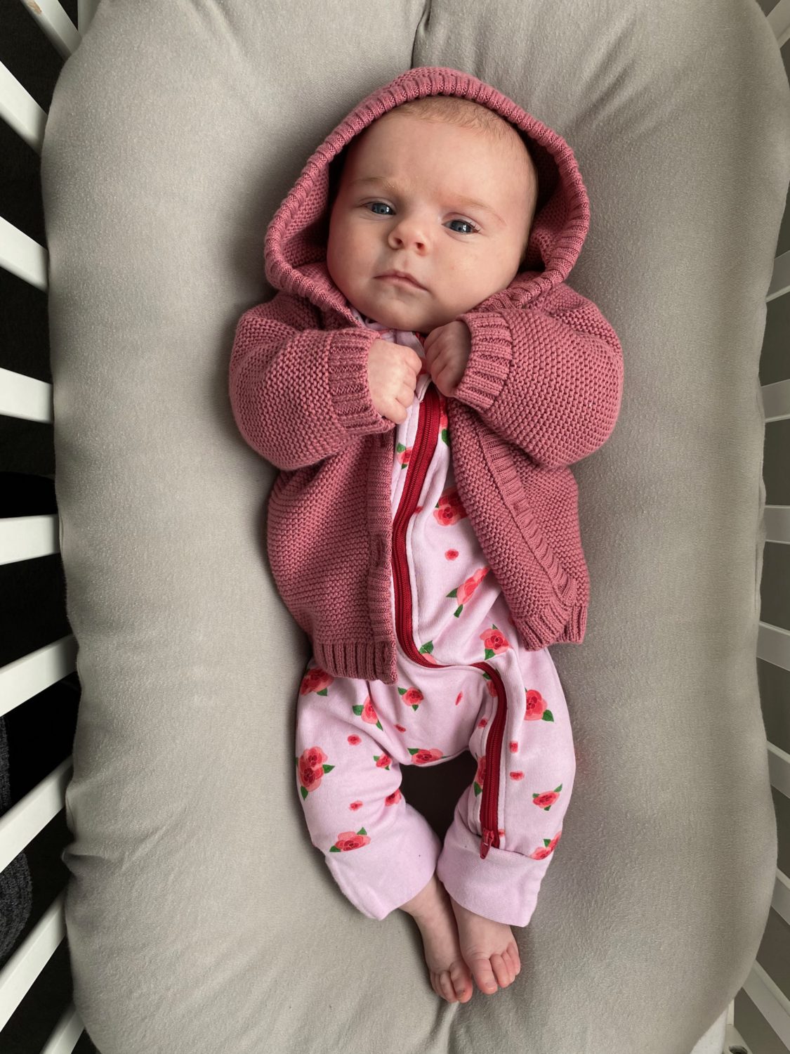 Roses organic cotton ZippyBoo suit
