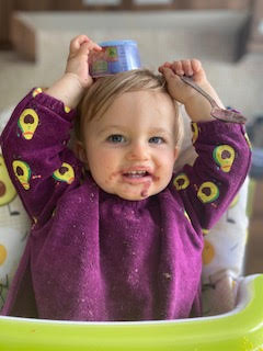 Plum avocado YummyBoo feeding bib