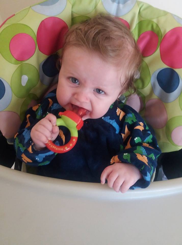 Navy dinos YummyBoo feeding bib