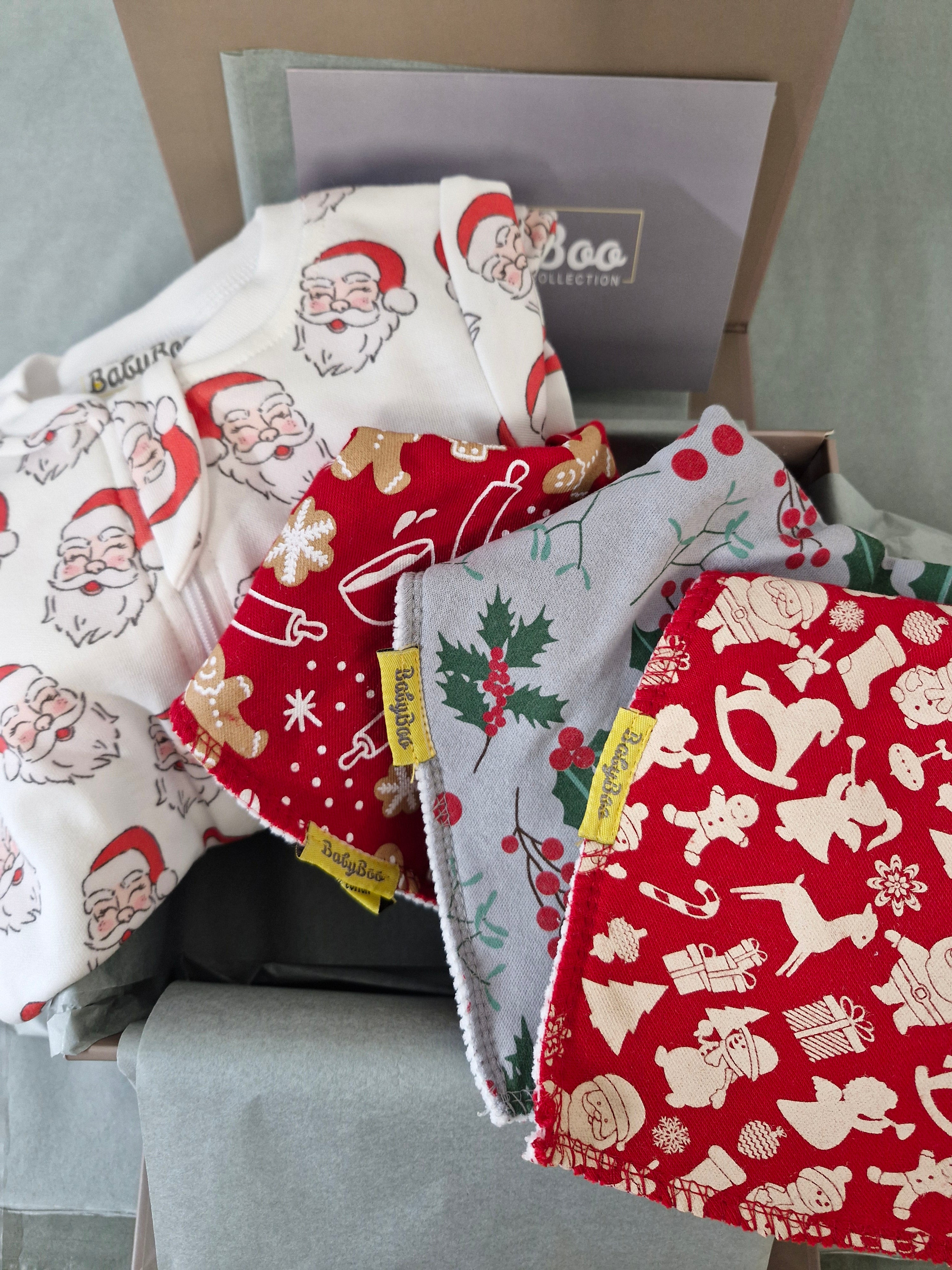 Christmas Zippy and bibs Luxury Gift Box
