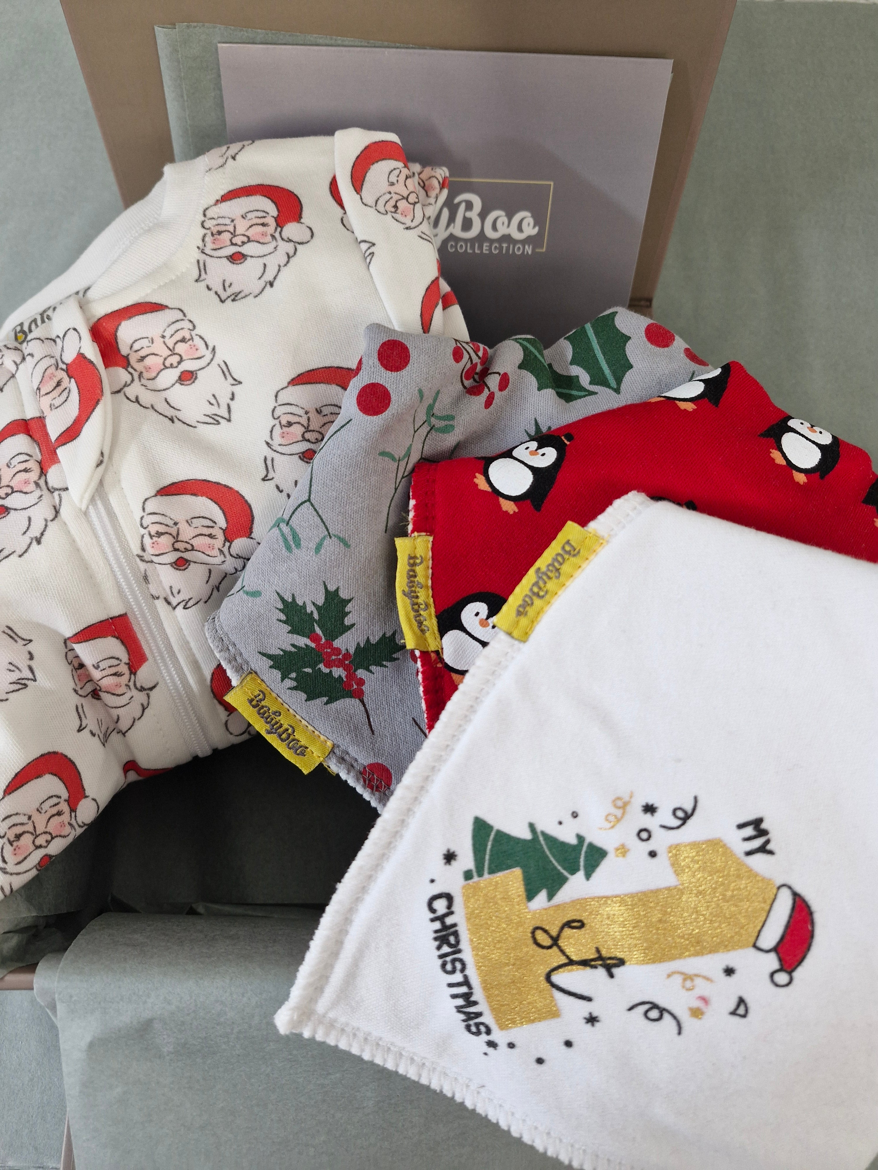 Christmas Zippy and bibs Luxury Gift Box