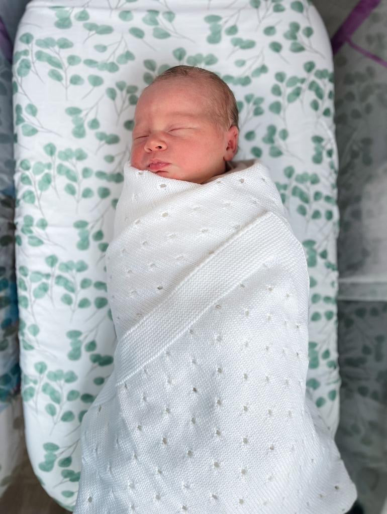 Eucalyptus organic cotton BeddyBoo fitted sheet