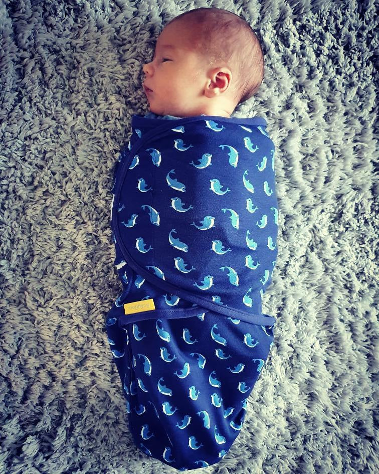 Dolphins organic cotton SwaddleBoo