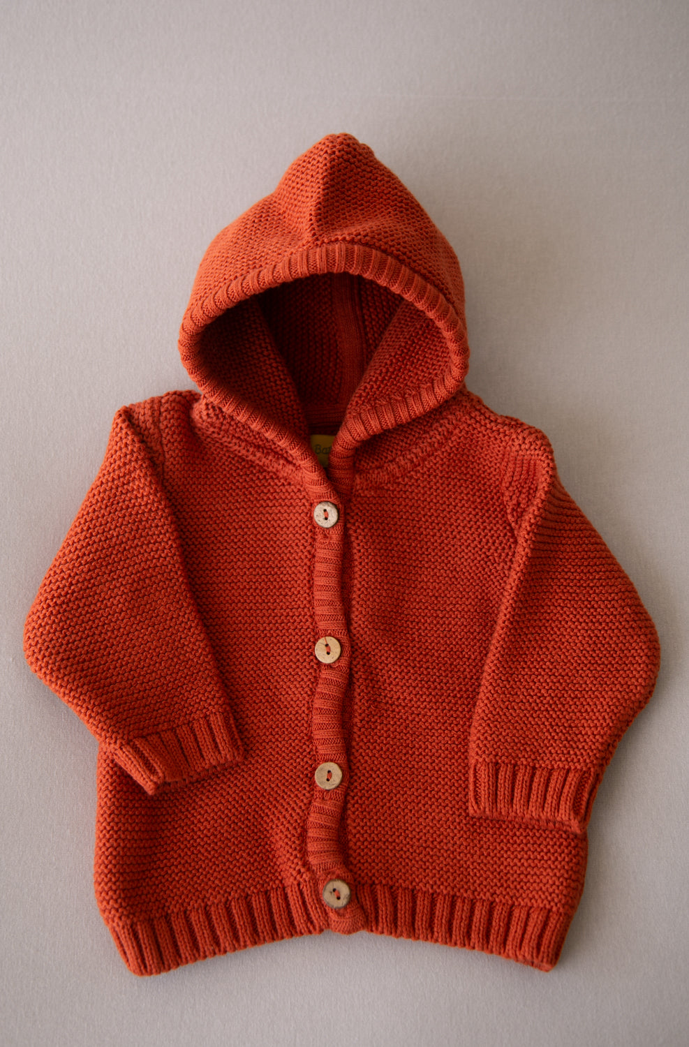 Rust organic cotton hoodie