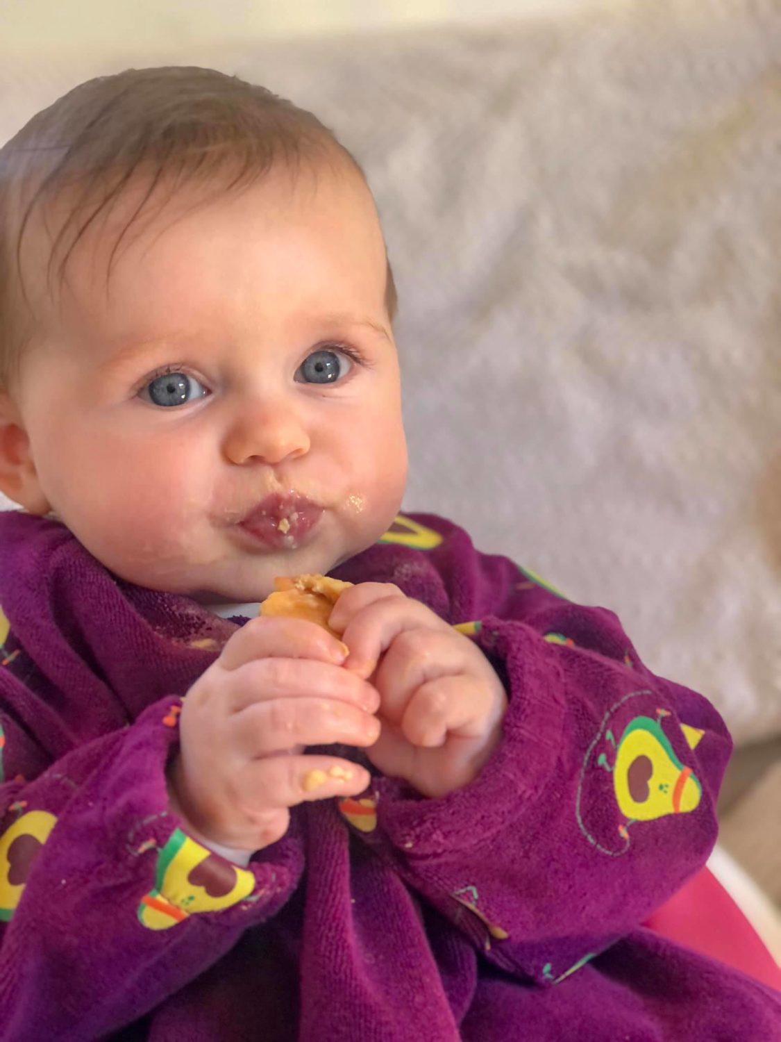 Plum avocado YummyBoo feeding bib