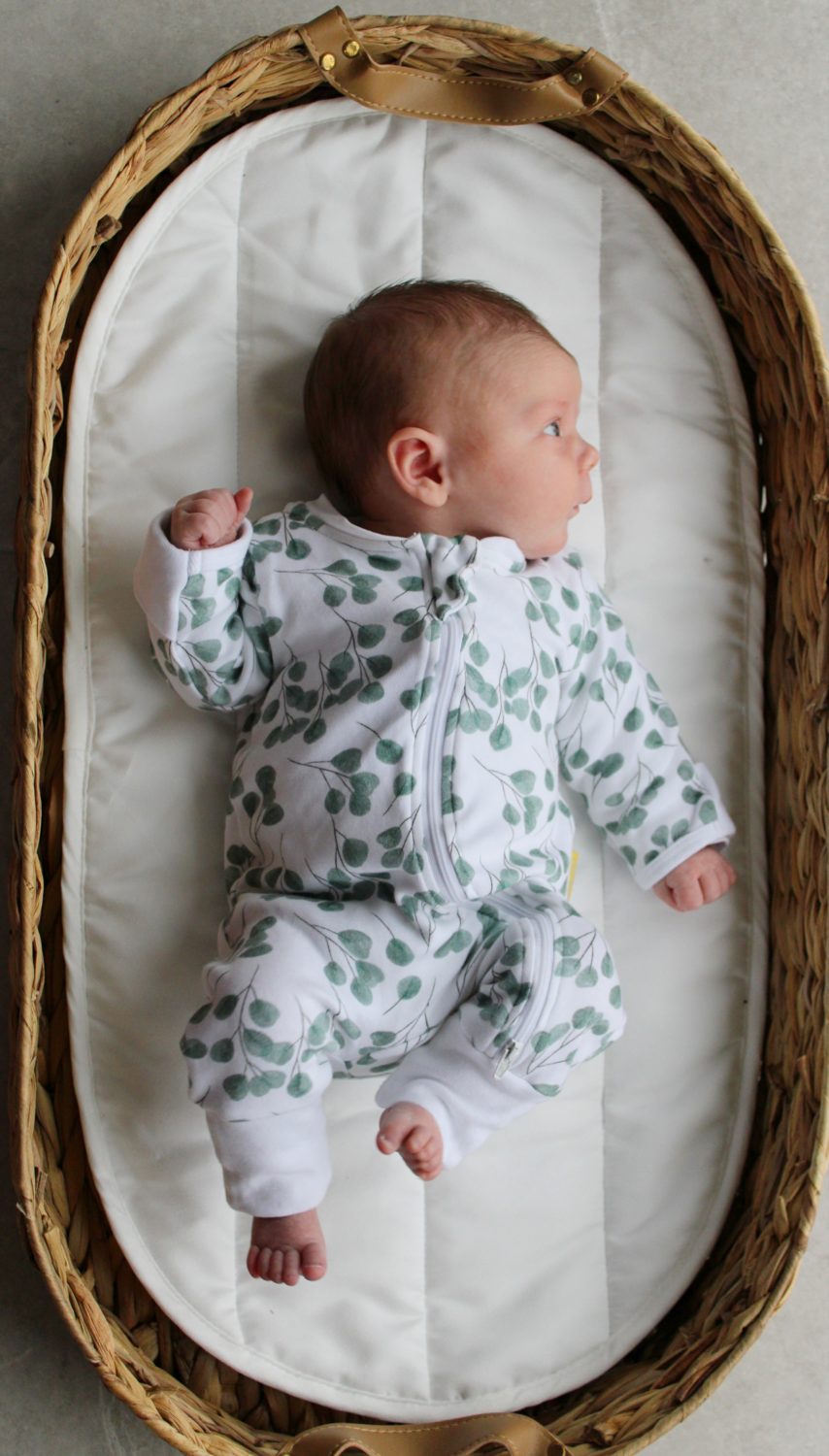 Eucalyptus organic cotton ZippyBoo suit