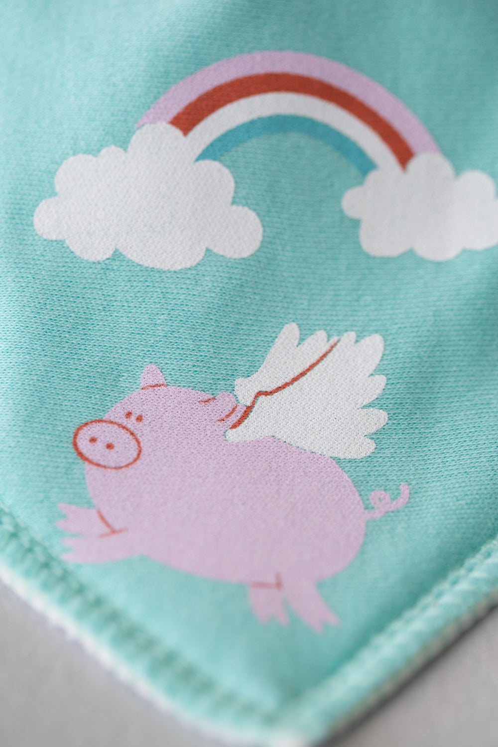 Flying pigs organic cotton DribbleBoo bandana bib