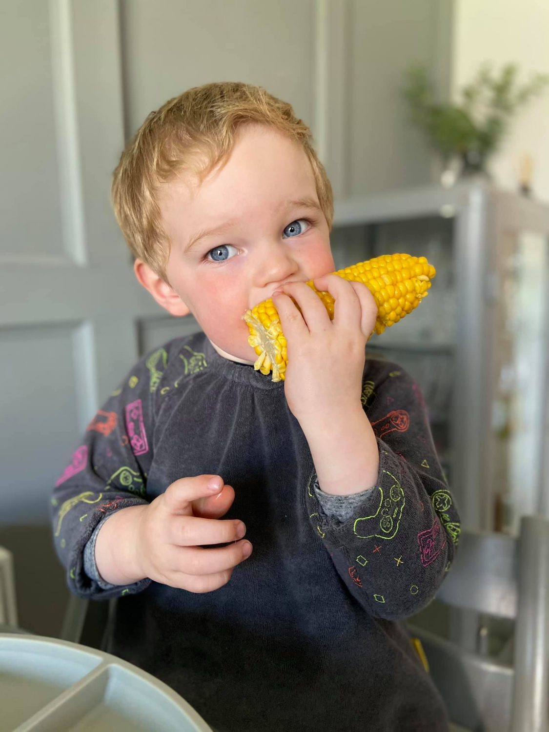 Grey Gaming YummyBoo feeding bib