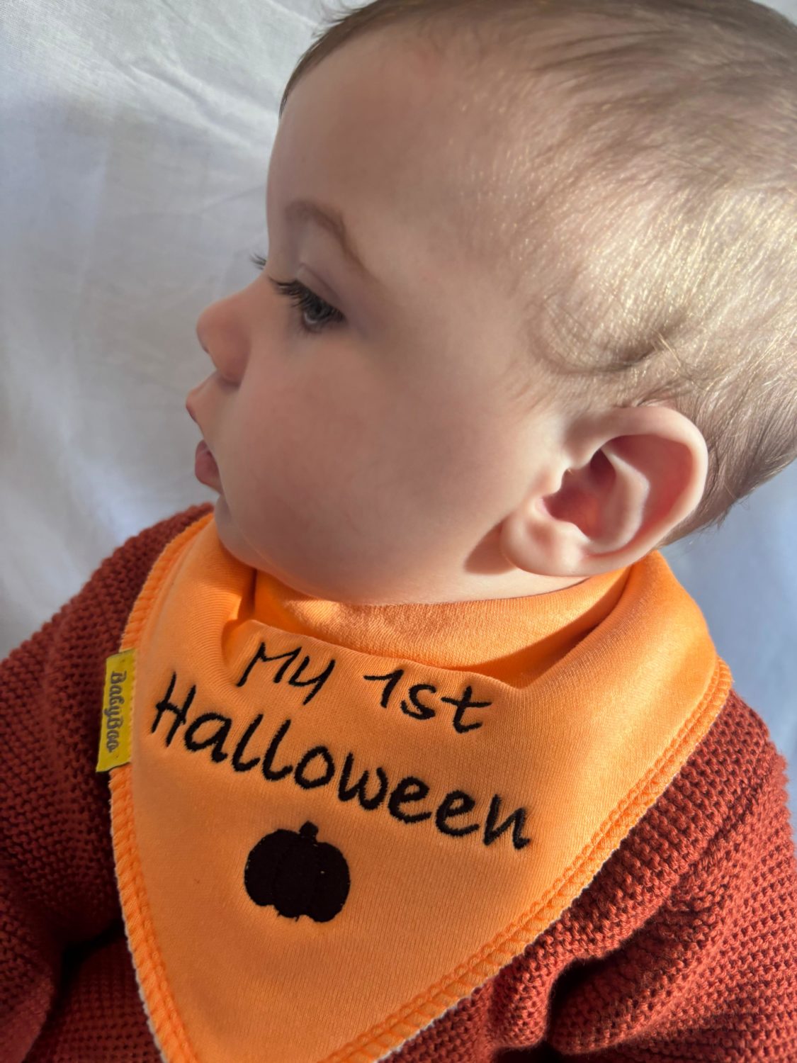 My 1st Halloween organic cotton bandana bib