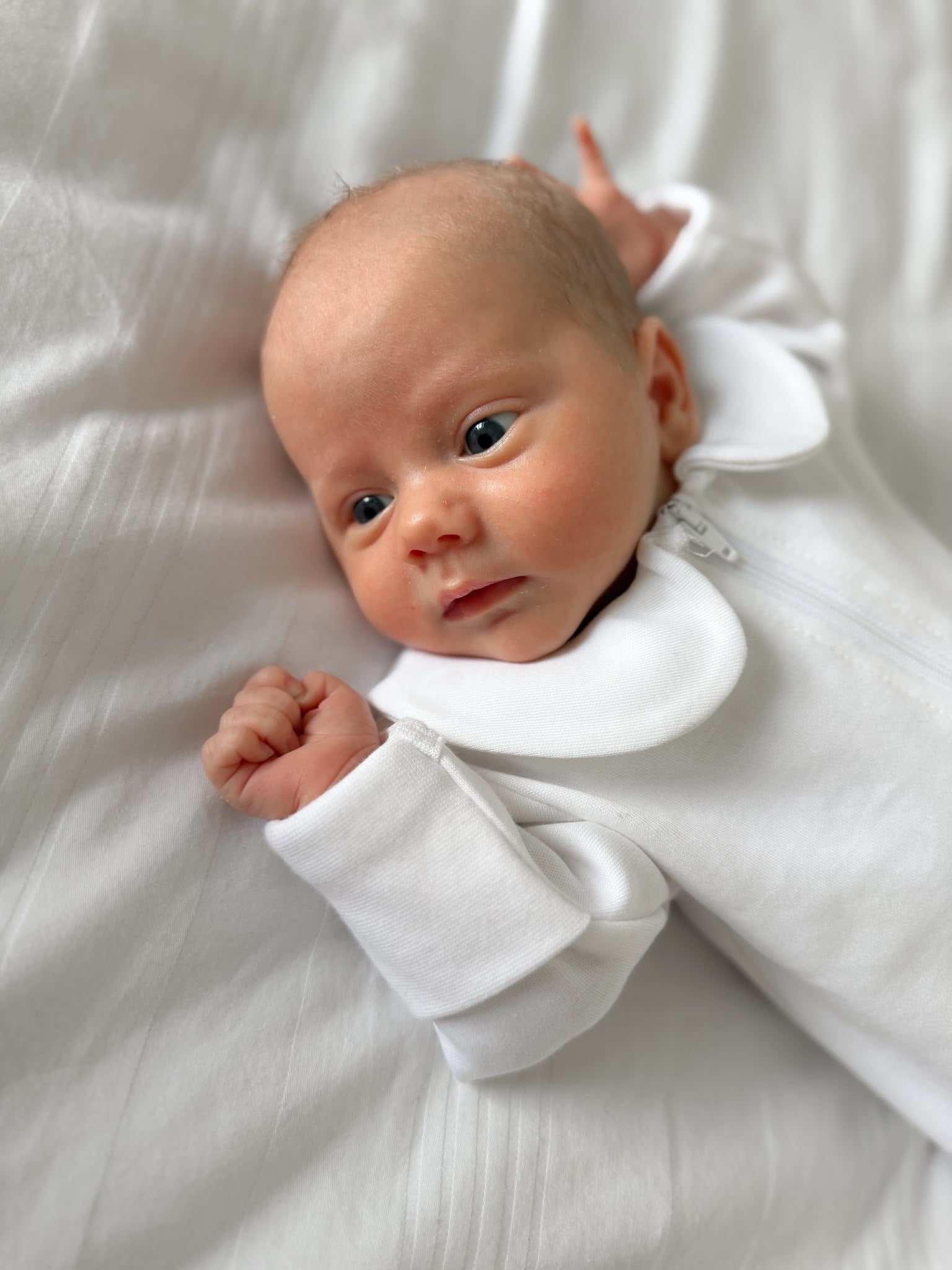White Collar Organic Cotton ZippyBoo suit