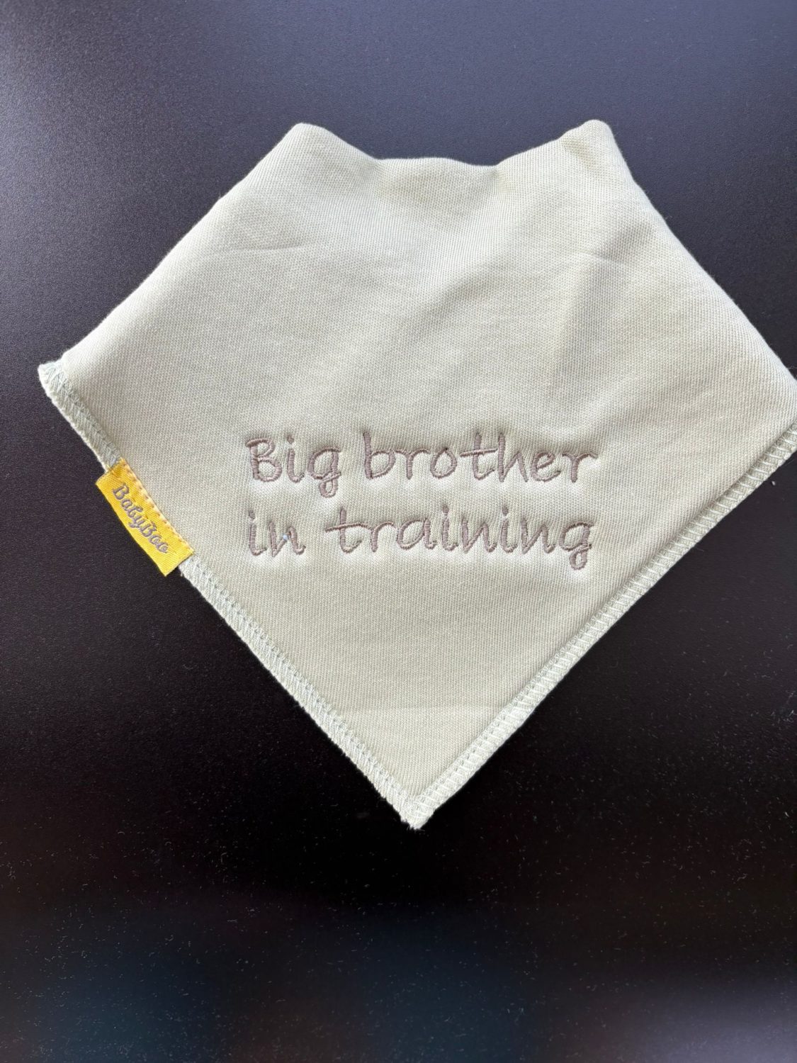 Big Brother in training organic cotton DribbleBoo bandana bib