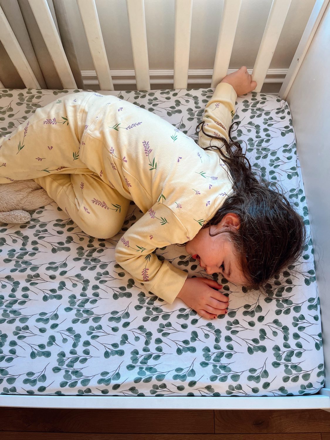 Eucalyptus organic cotton BeddyBoo fitted sheet