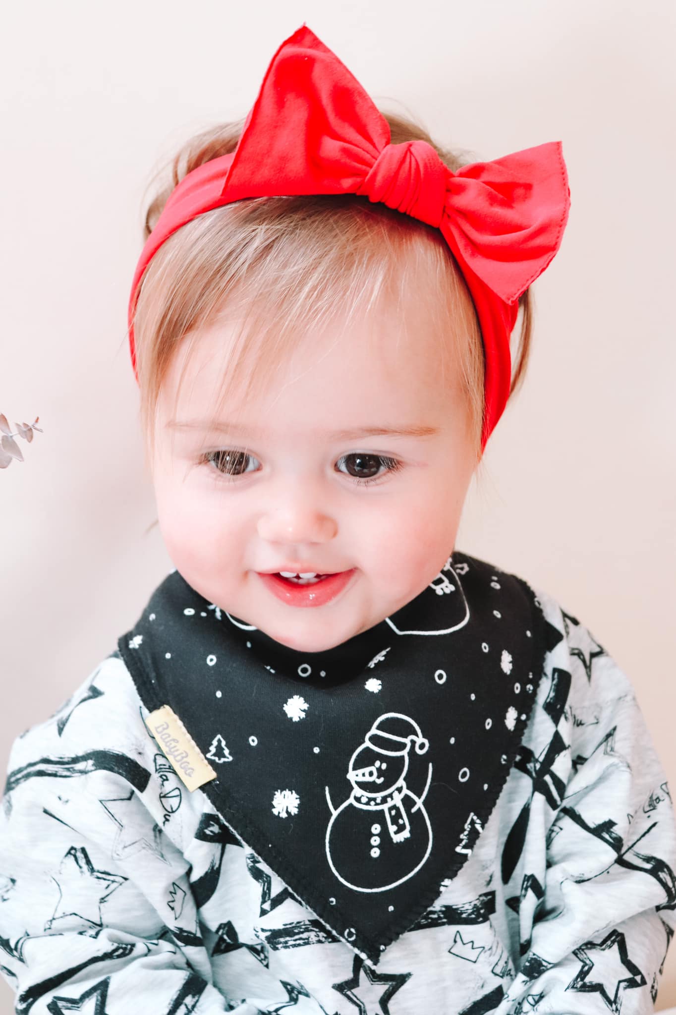 Tiktok Christmas bundle of bibs