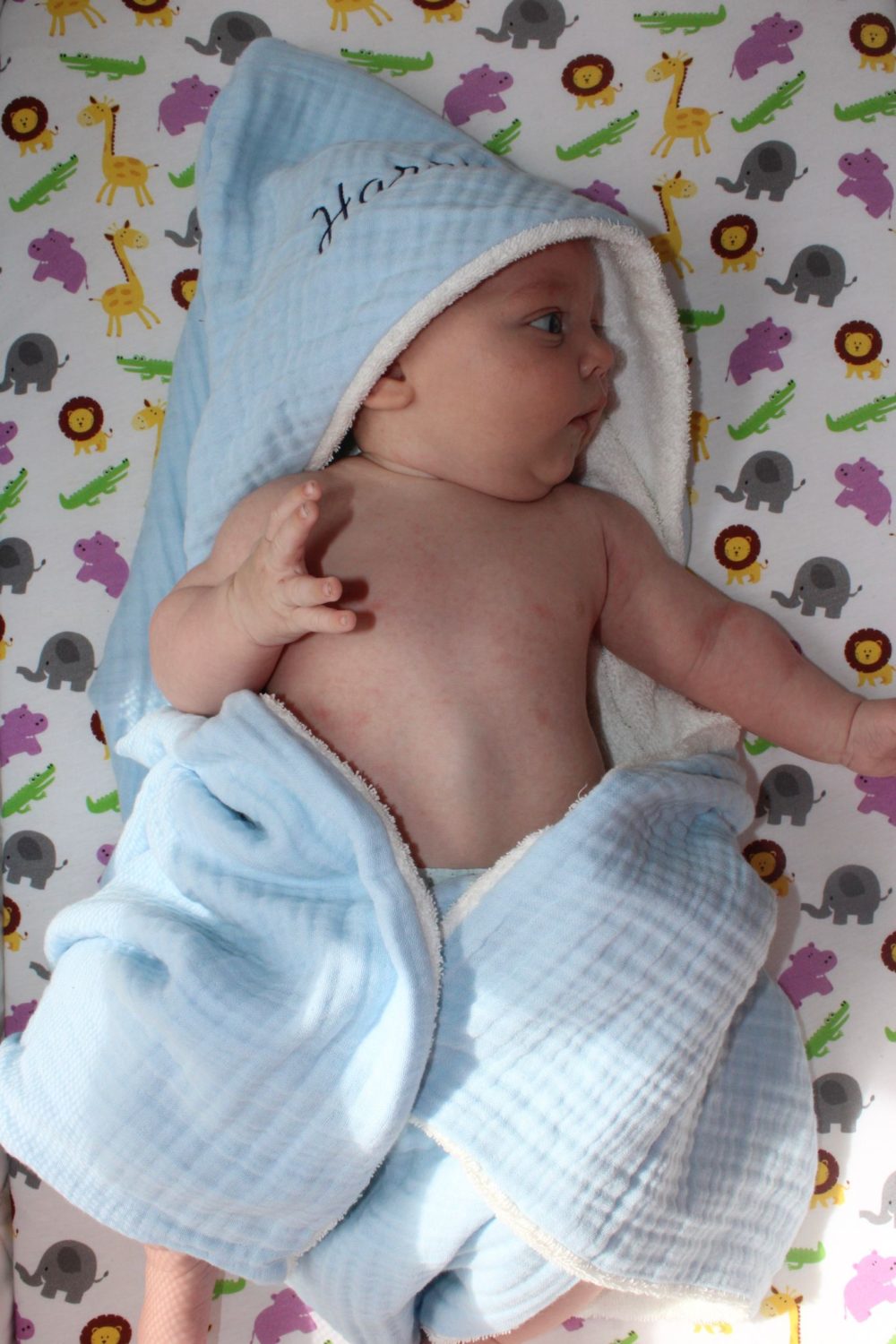 In the jungle organic cotton BeddyBoo fitted sheet
