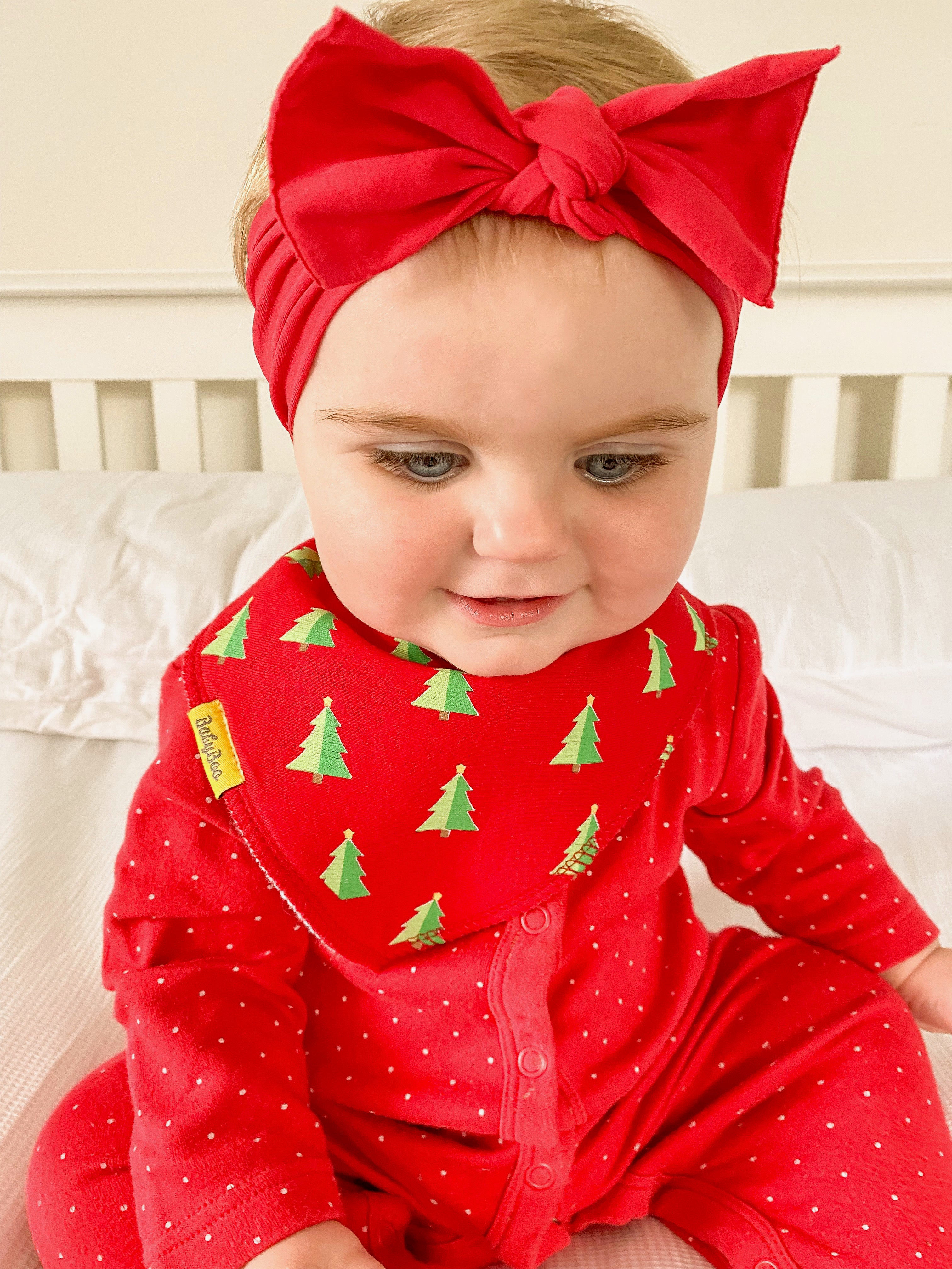 Tiktok Christmas bundle of bibs