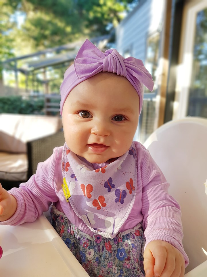 Lilac fly fly butterfly organic cotton DribbleBoo bandana bib