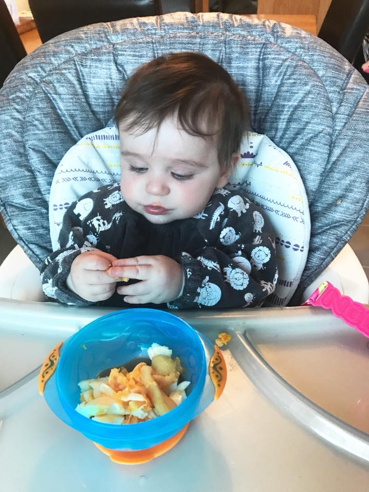 Grey jungle animals YummyBoo feeding bib