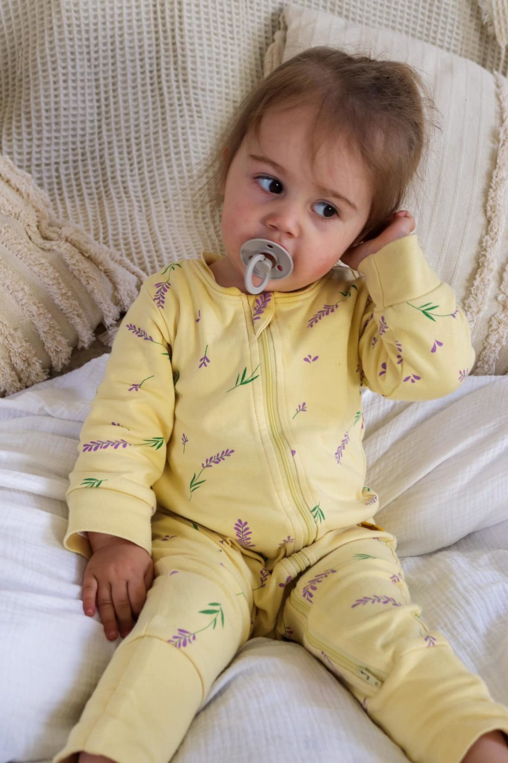 Luxury ZippyBoo bundle gift box