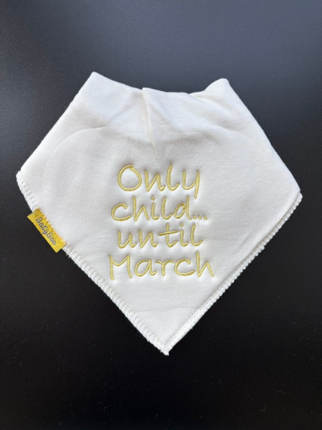 Only child.... until March organic cotton DribbleBoo bandana bib