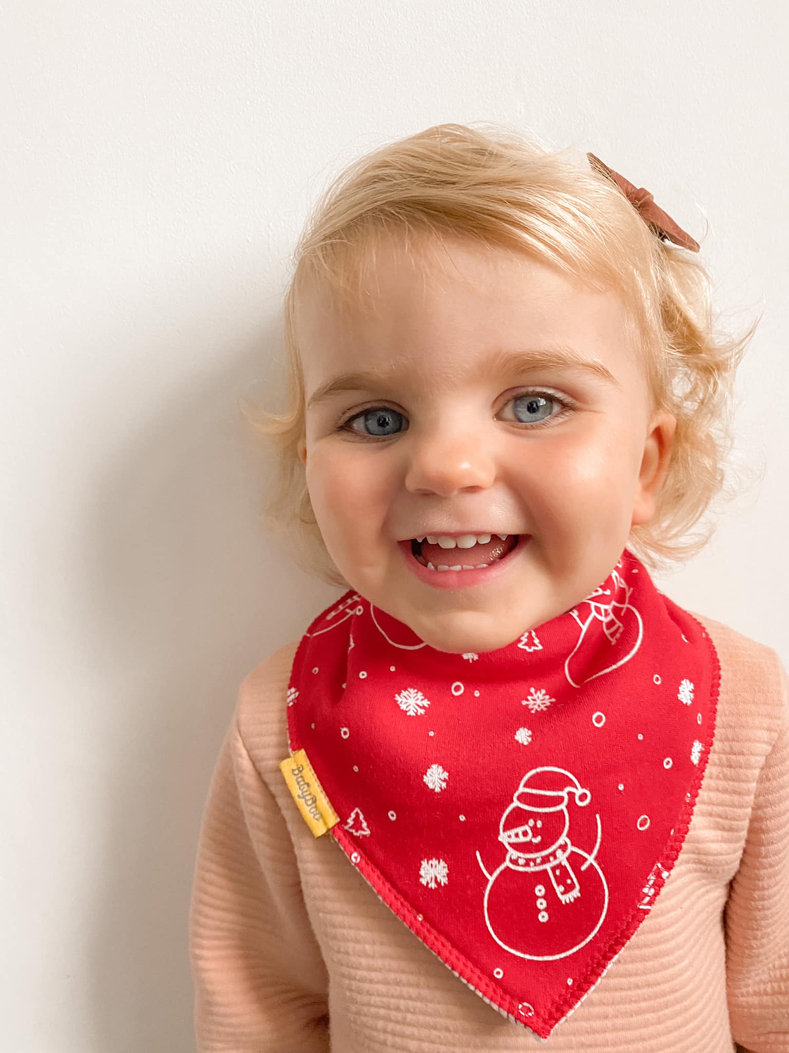 Tiktok Christmas bundle of bibs