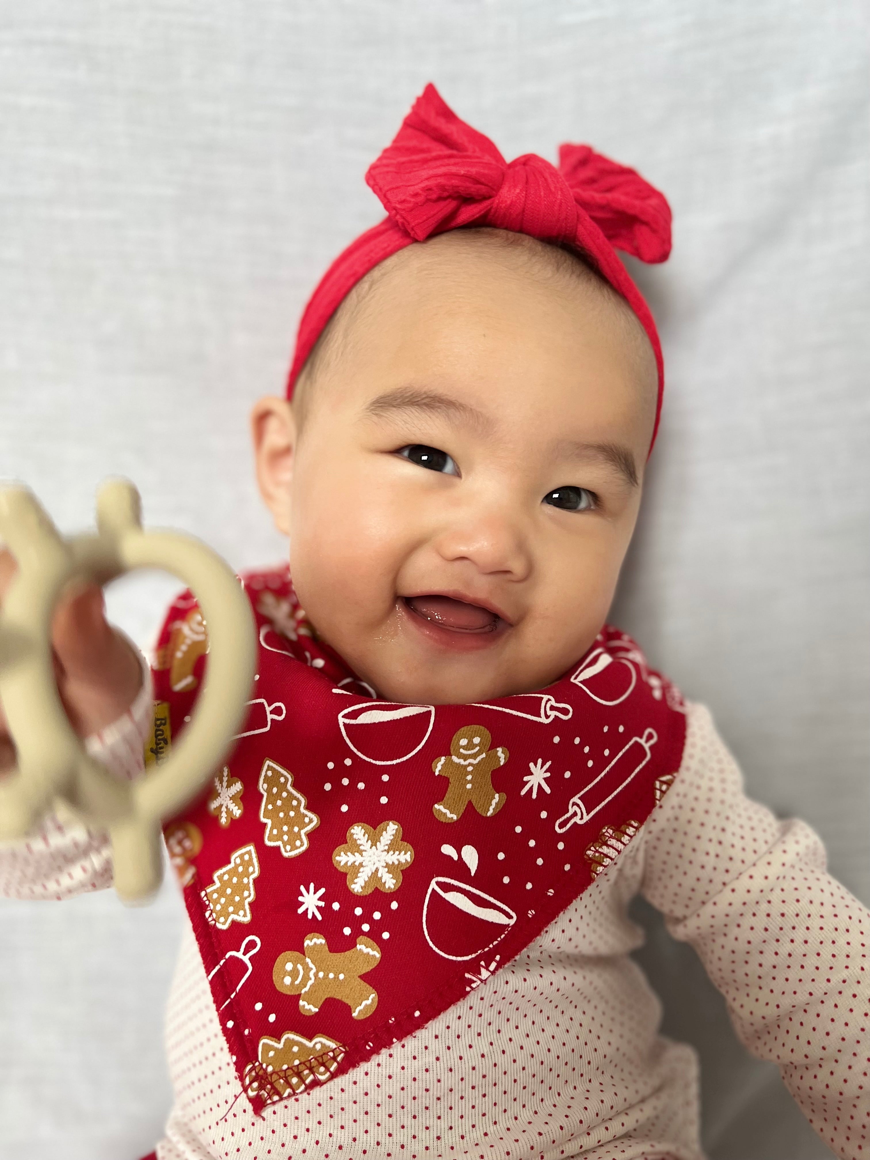 Tiktok Christmas bundle of bibs