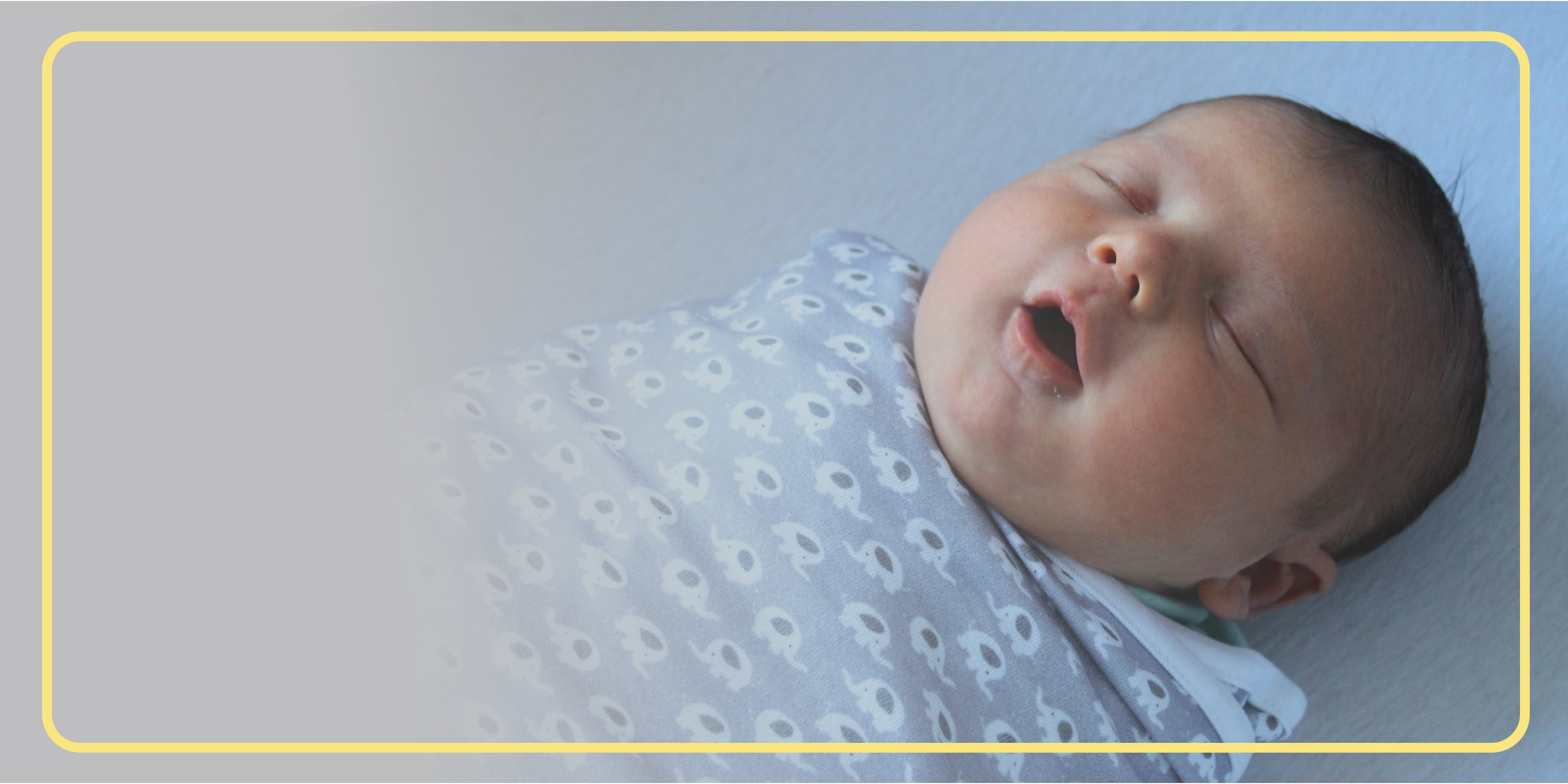 SwaddleBoo Prewrapped Swaddles
