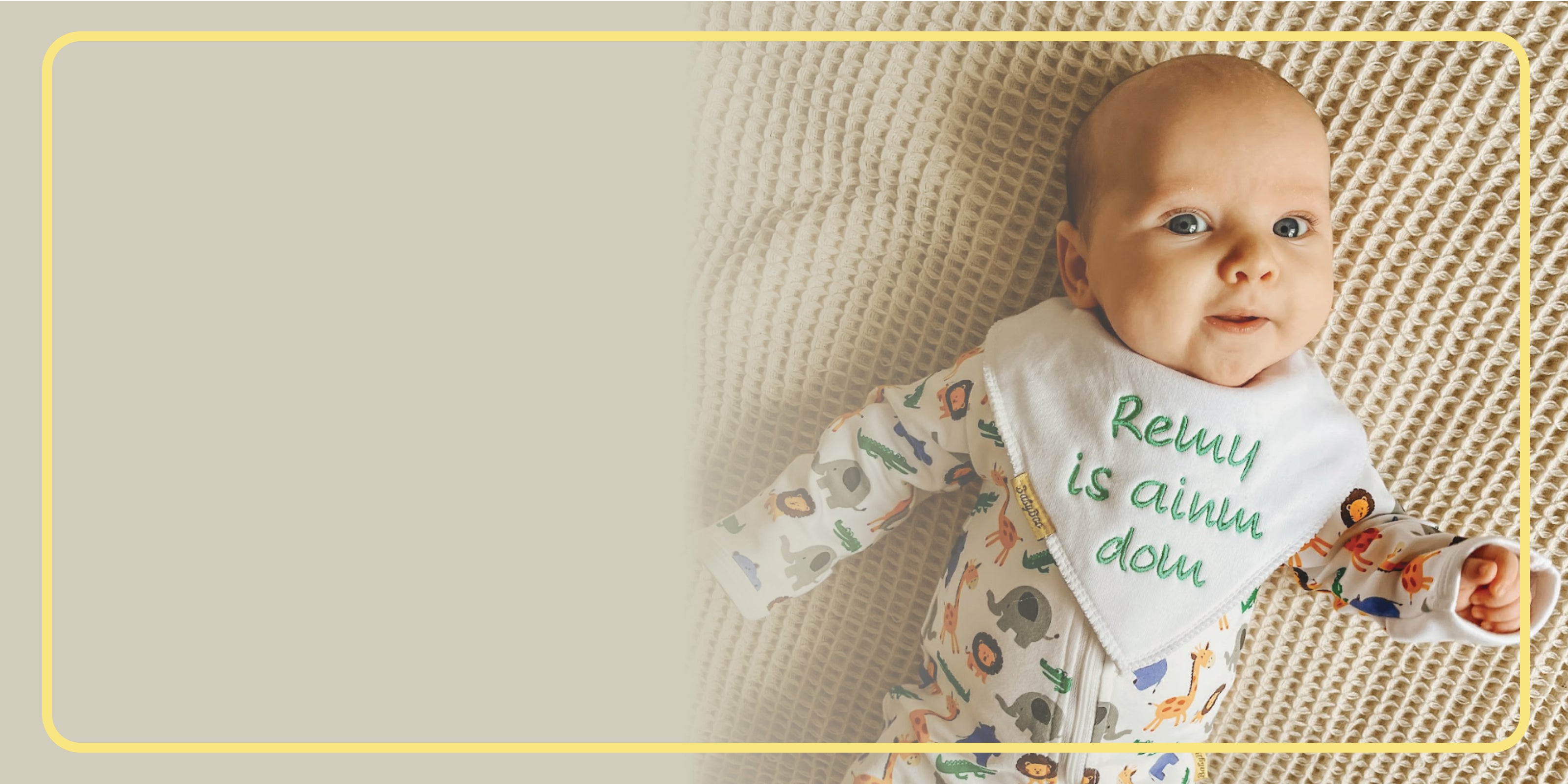 Irish Language Bibs