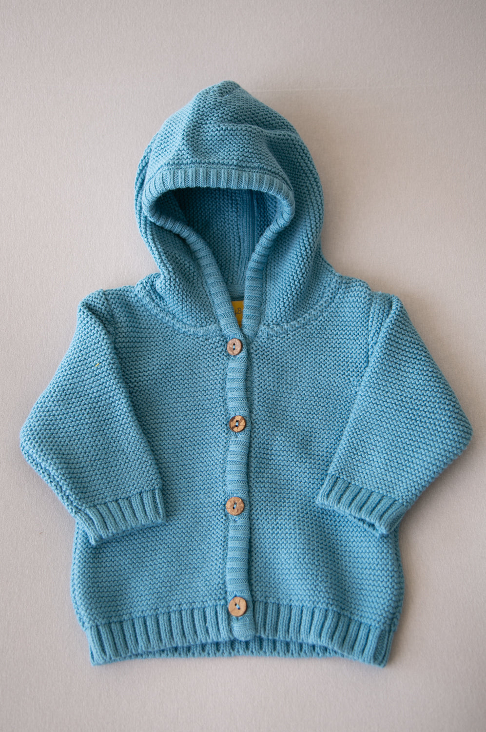 Teal organic cotton hoodie