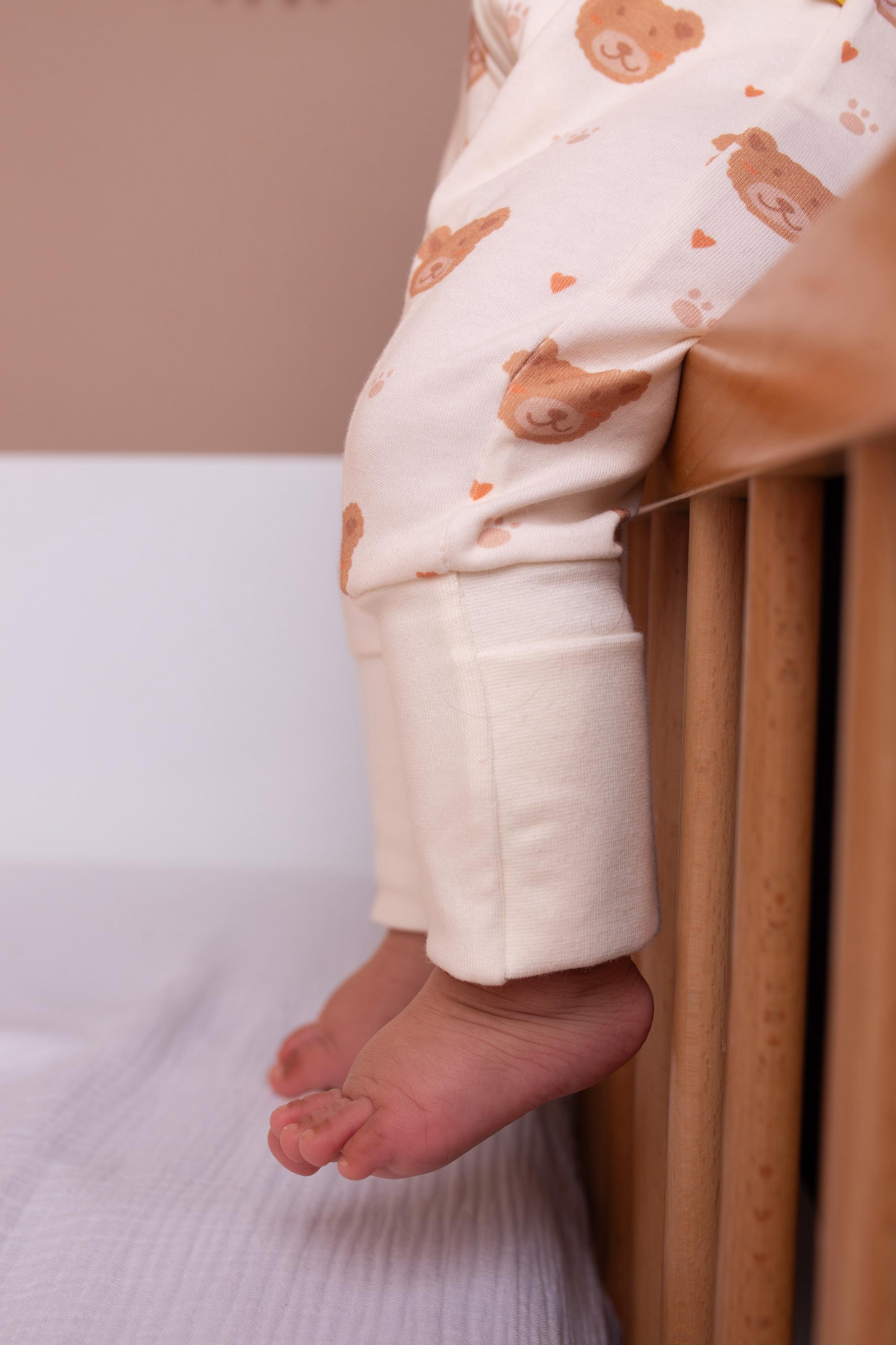 Lovely Teddy bears organic cotton ZippyBoo suit