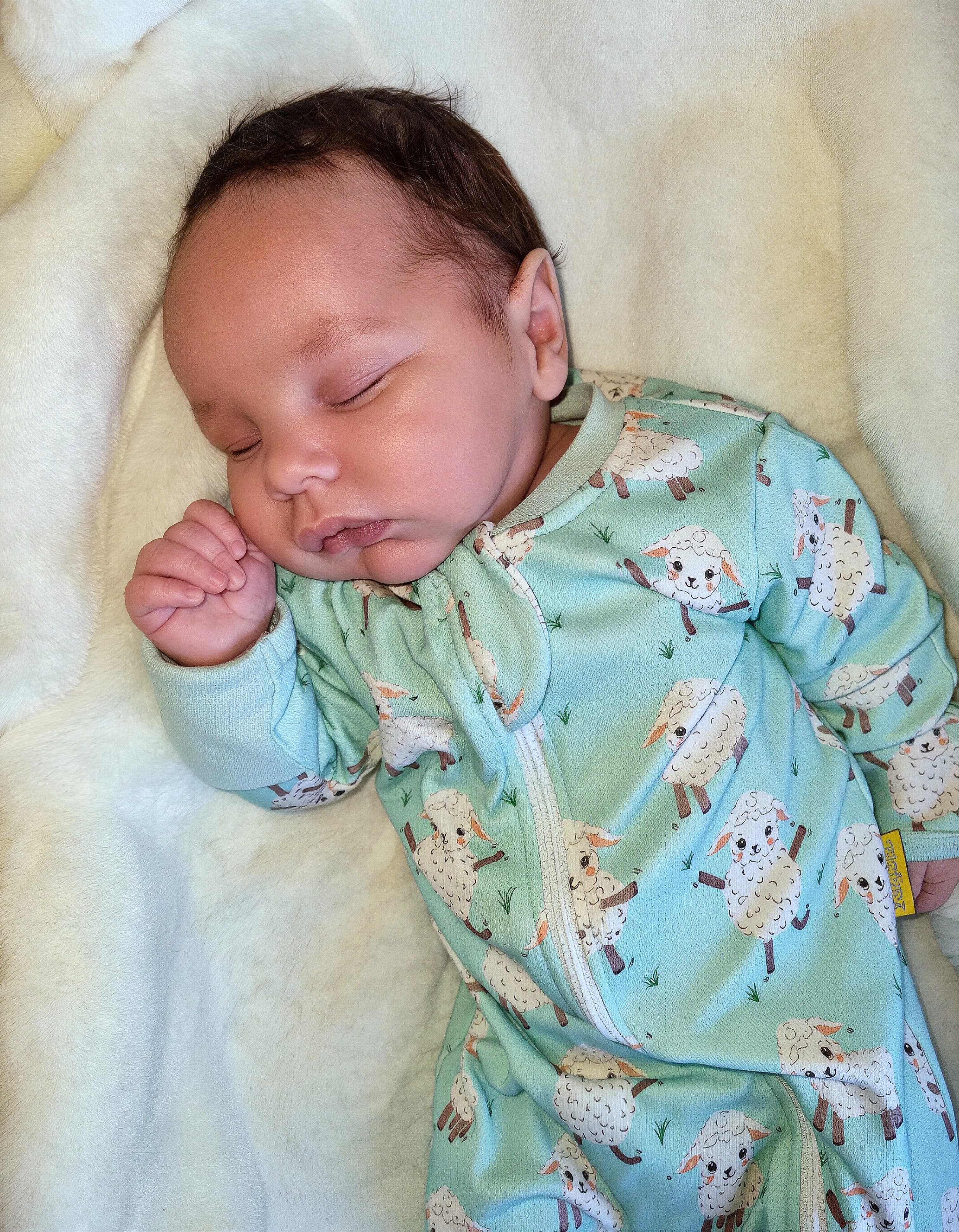 Dancing Lambs organic cotton ZippyBoo suit