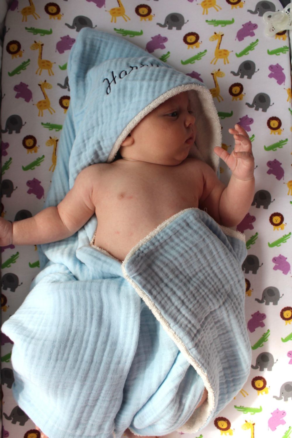 In the jungle organic cotton BeddyBoo fitted sheet