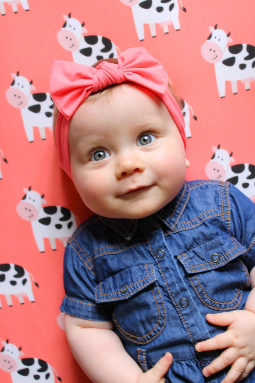 Coral bessie cow organic cotton BeddyBoo fitted sheet