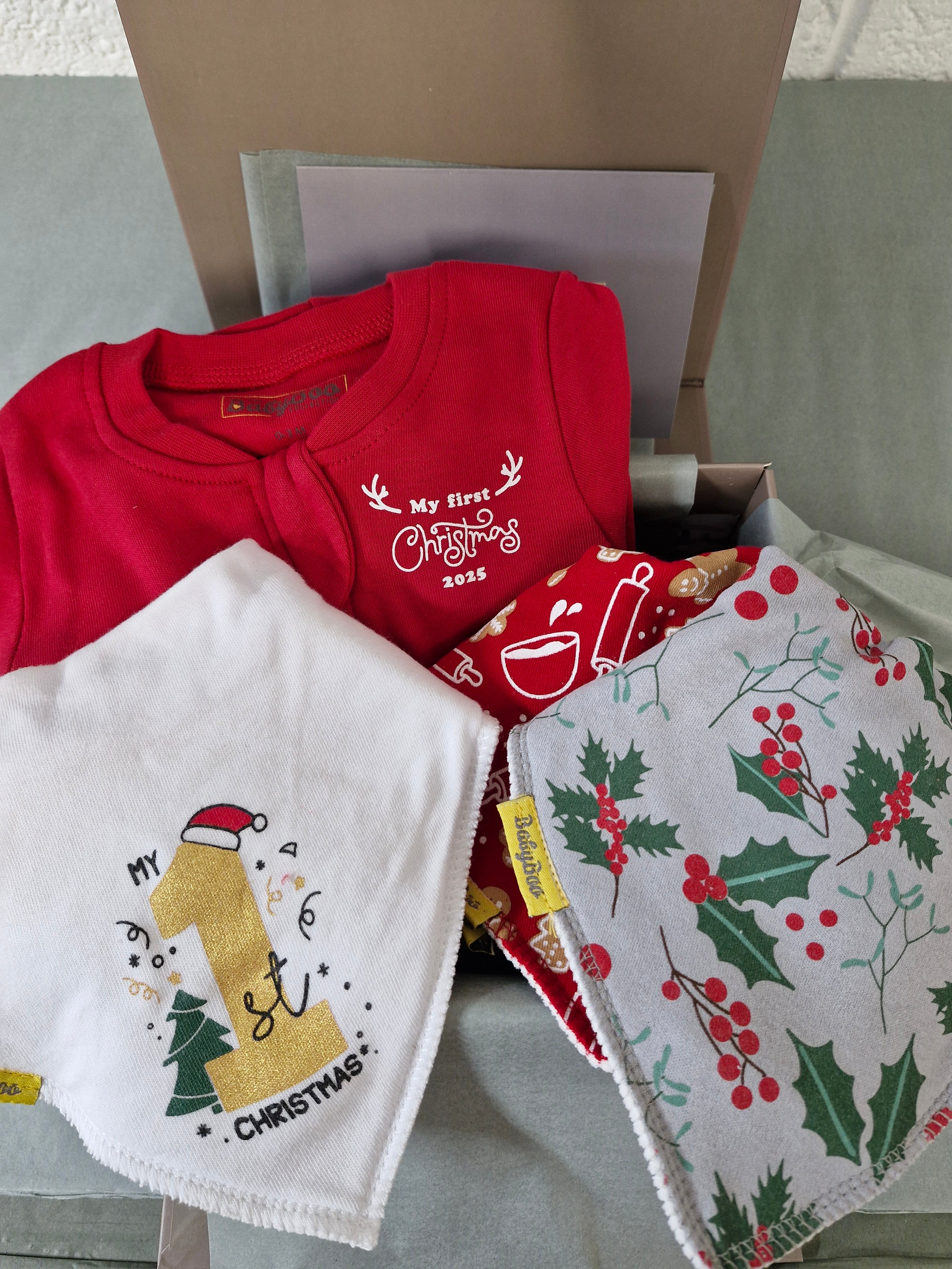 Christmas Zippy and bibs Luxury Gift Box