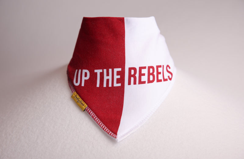 Cork GAA organic cotton DribbleBoo bandana bib