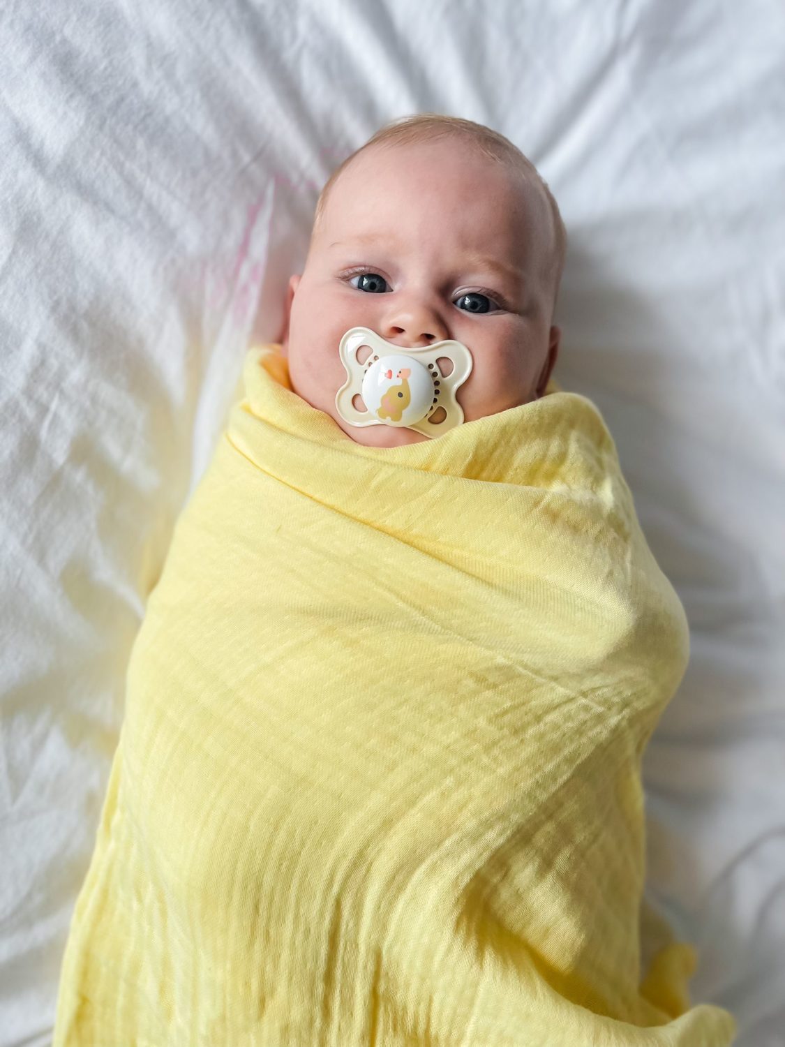 Lemon Organic Cotton super square muslin blanket