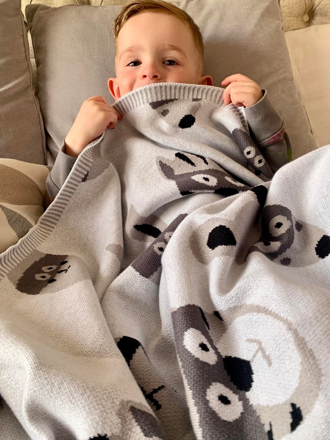 My cuddle blanket - super animals
