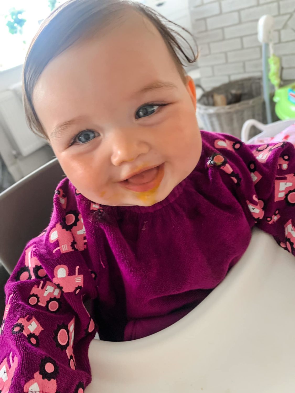 Plum tractors YummyBoo feeding bib
