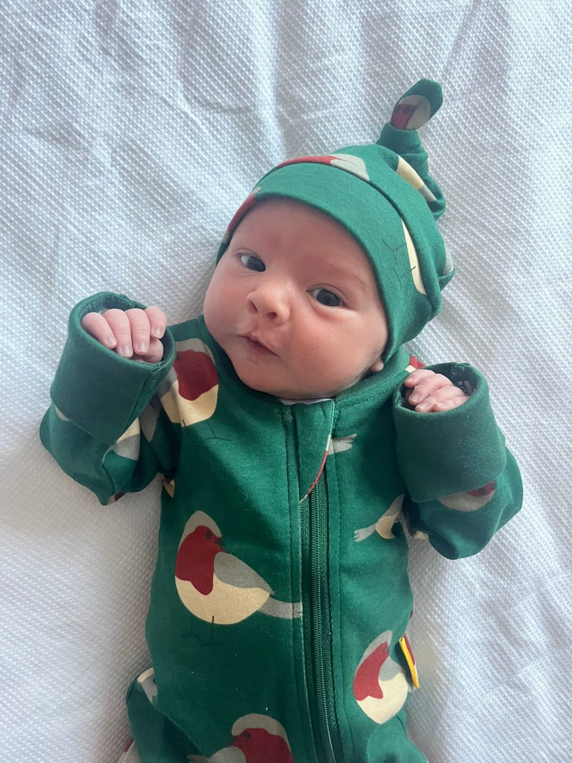 Puppy love organic cotton Knot hat