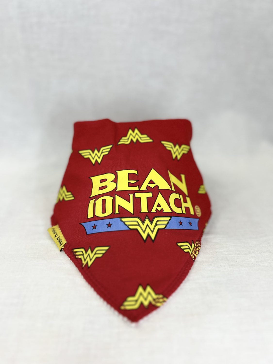 Bean Iontach organic cotton DribbleBoo bandana bib