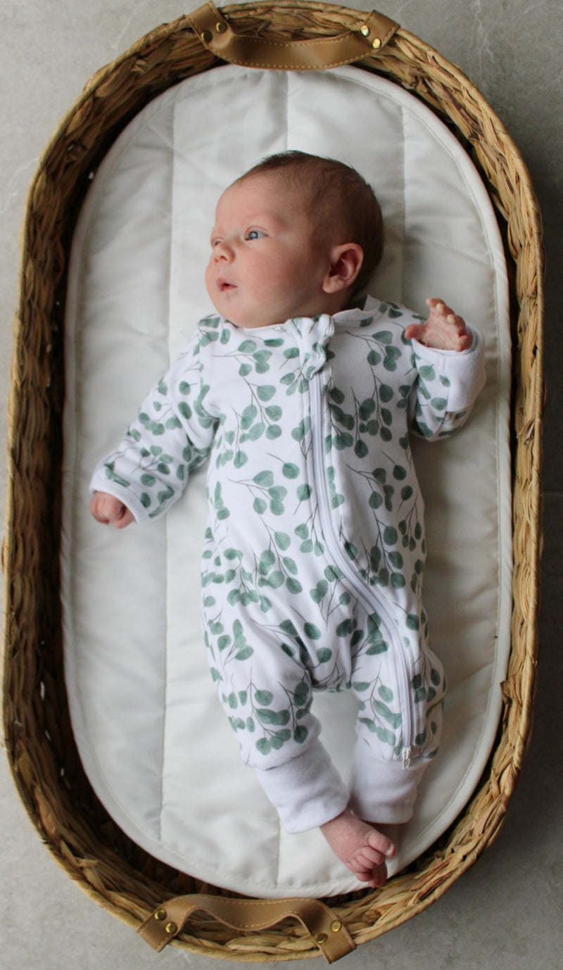 Eucalyptus organic cotton ZippyBoo suit