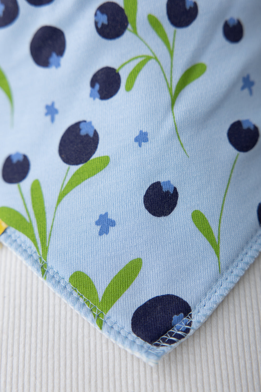 Blue Blueberries Organic Cotton DribbleBoo Bandana bib