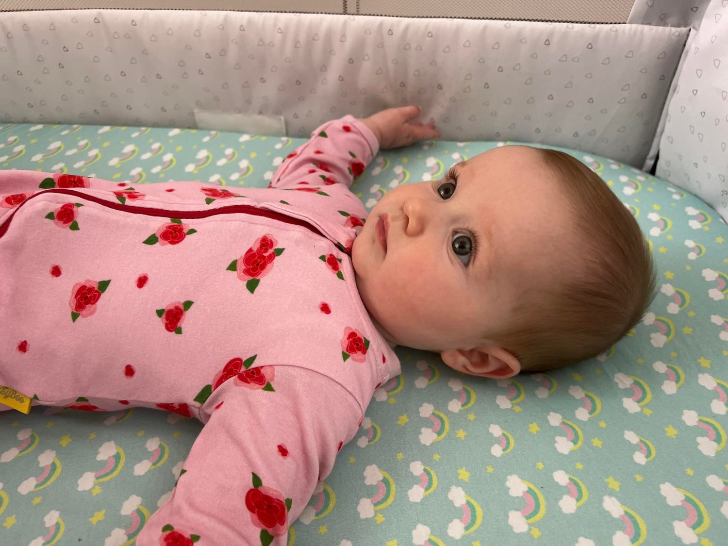 Roses organic cotton ZippyBoo suit