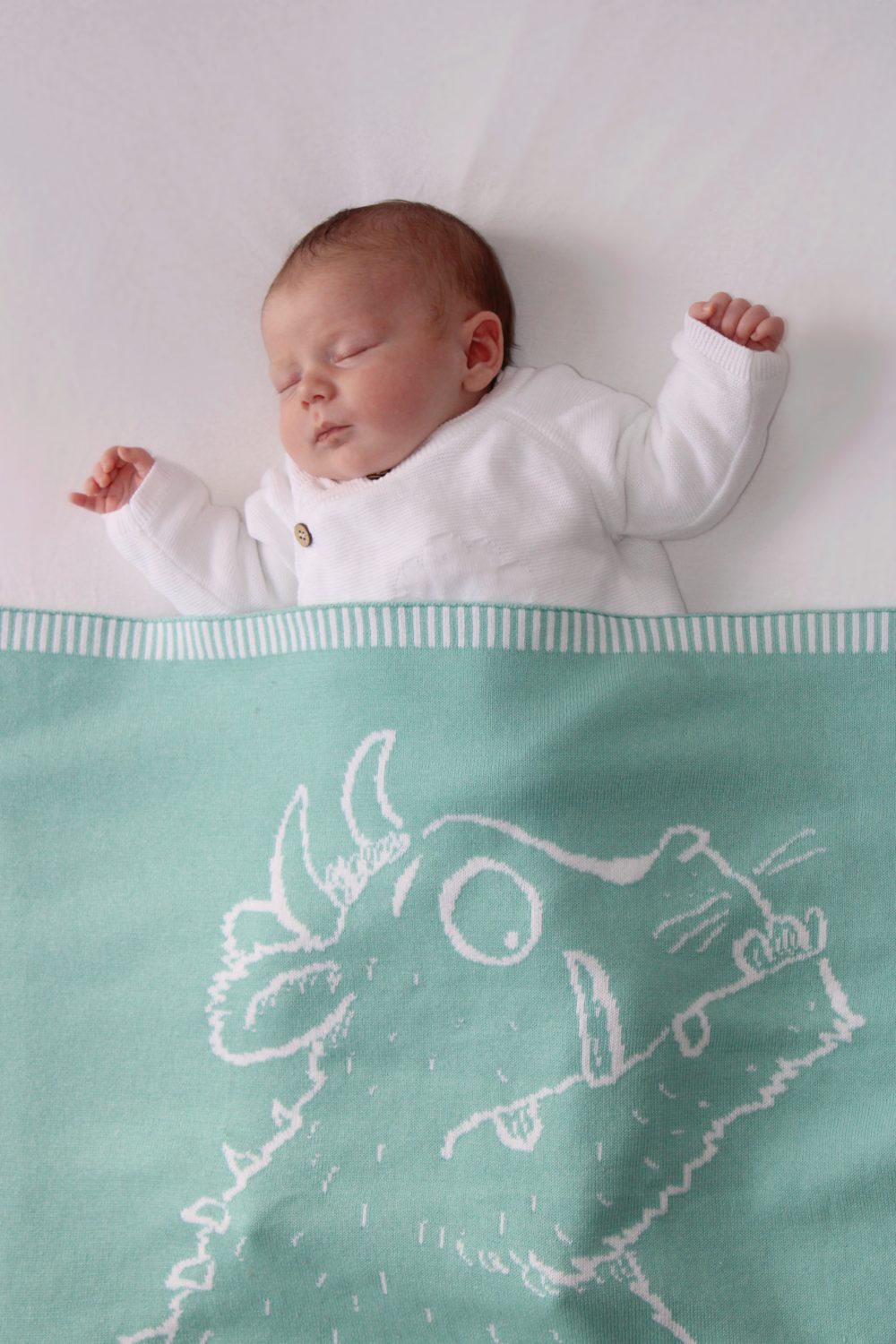The Gruffalo (Mint) Organic cotton BlankieBoo