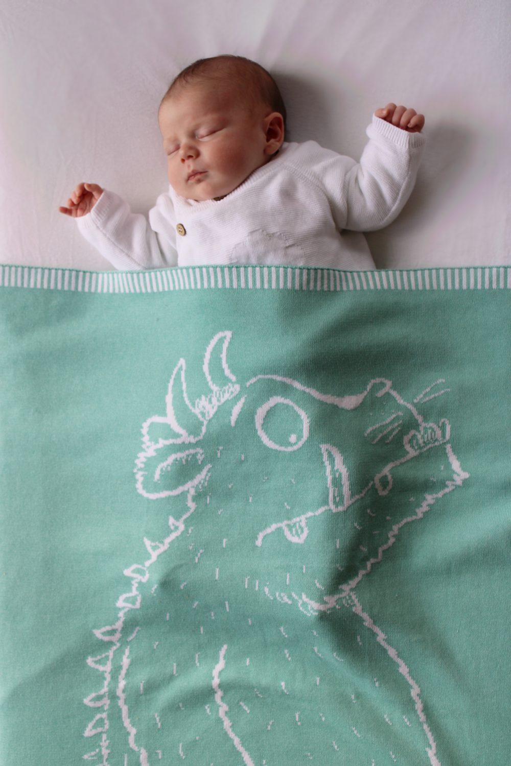 The Gruffalo (Mint) Organic cotton BlankieBoo