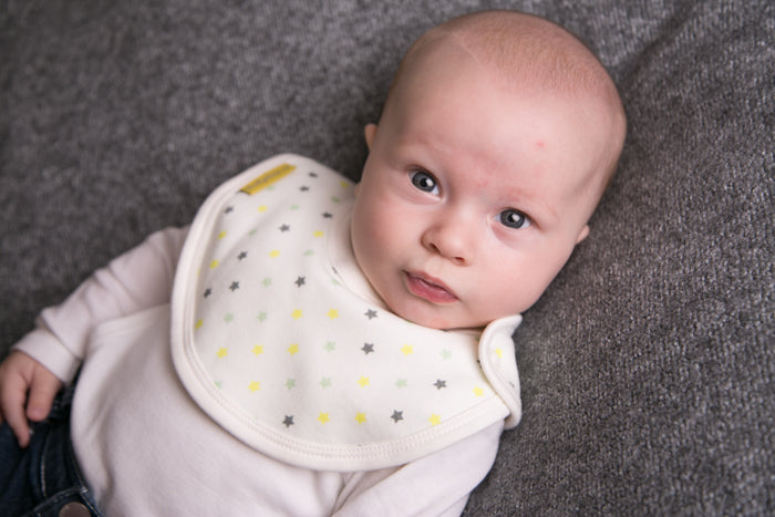 Teal, lemon and grey stars organic cotton LittleBoo baby bib