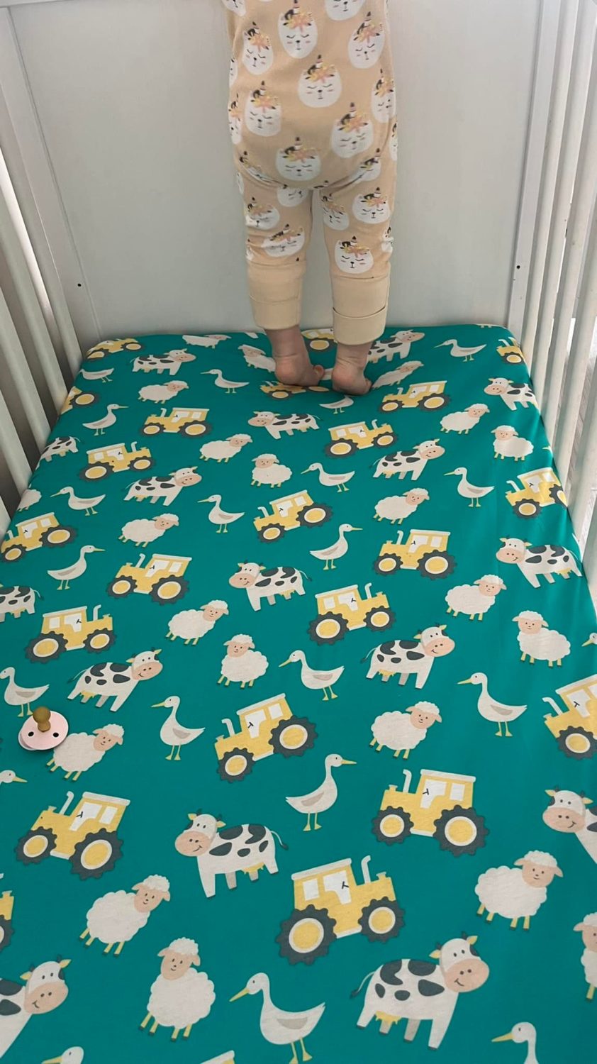 Farmyard organic cotton BeddyBoo fitted sheet