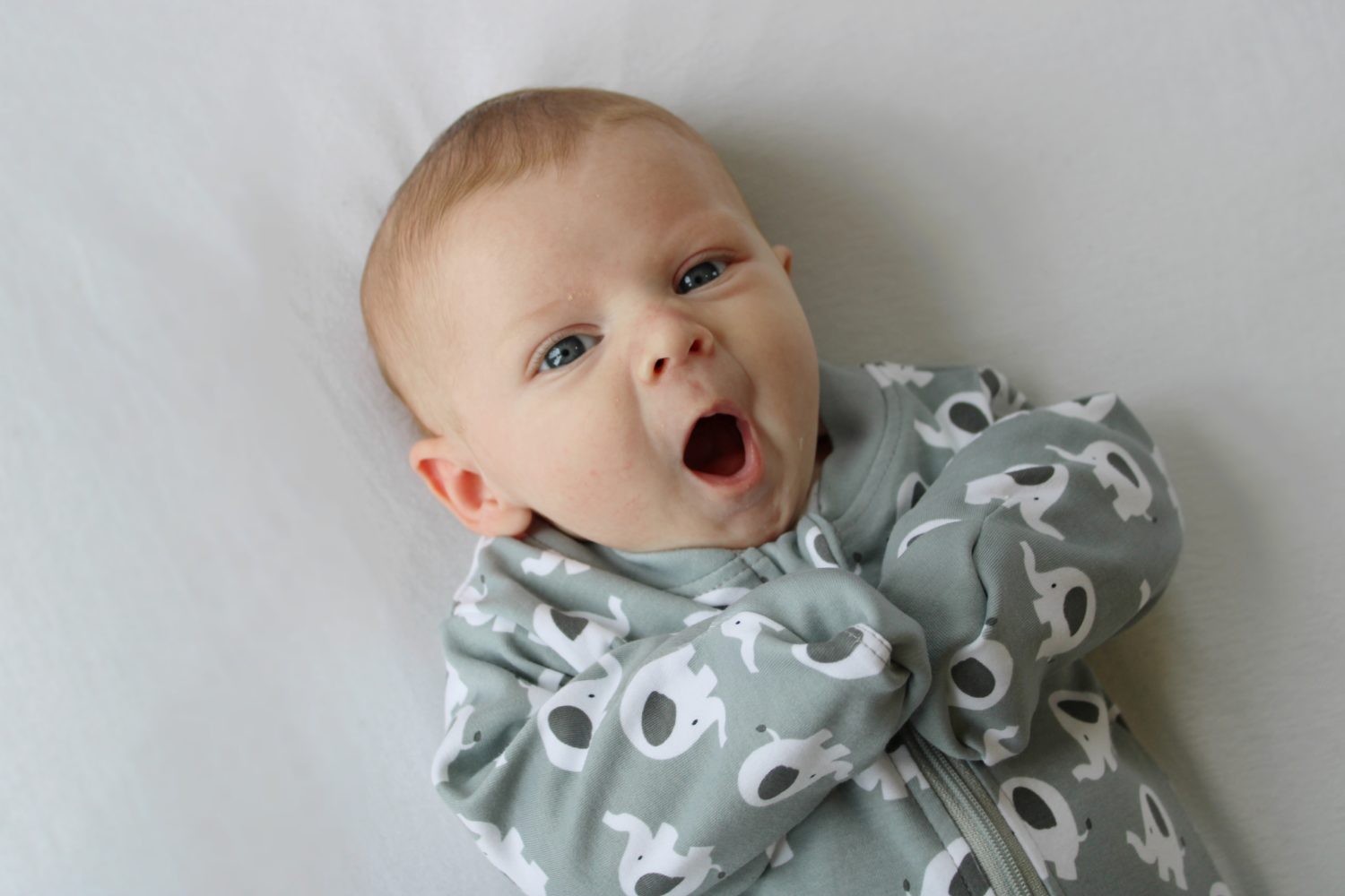 Dark grey Ellie elephant organic cotton ZippyBoo suit