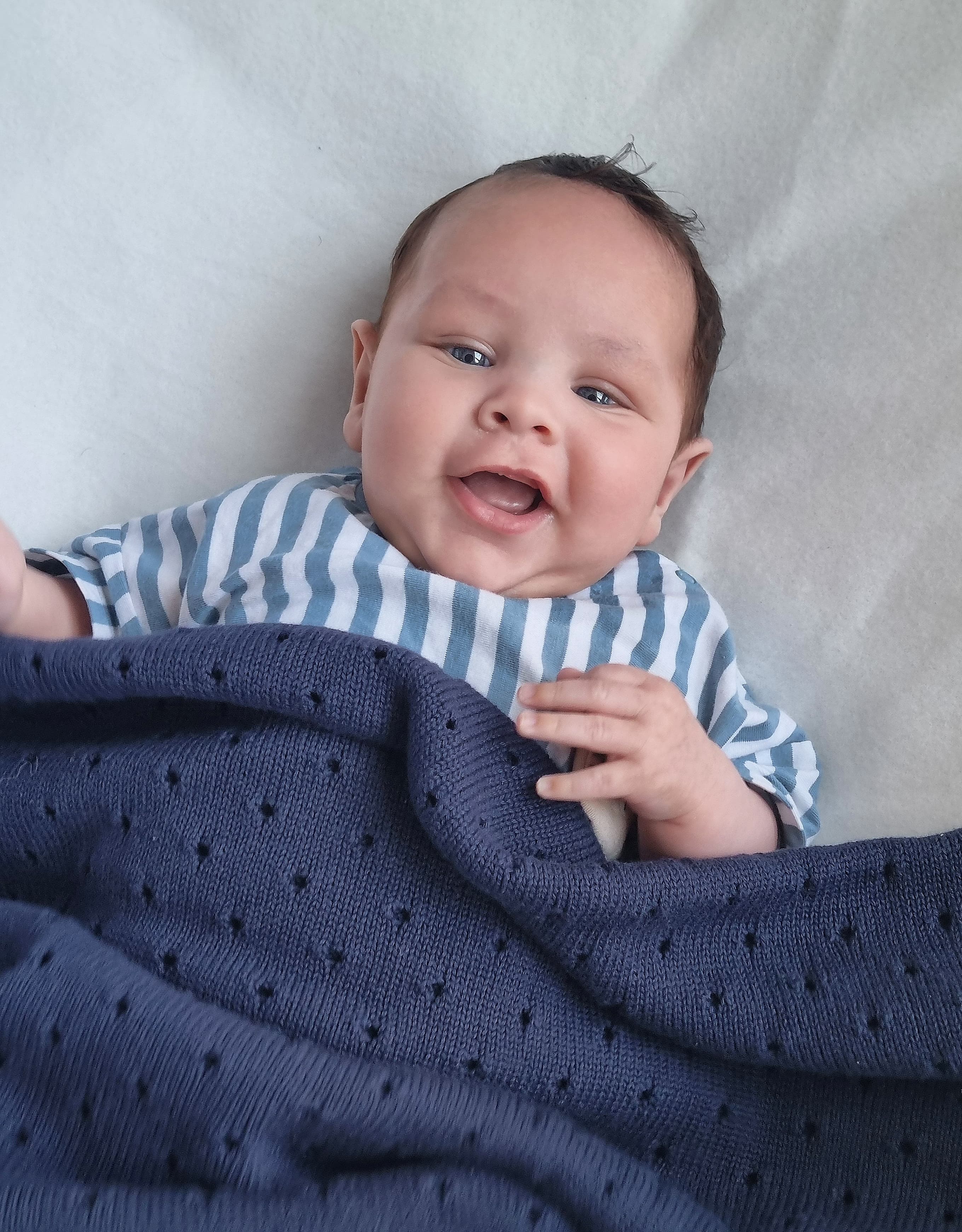 Organic cotton navy cellular BlankieBoo