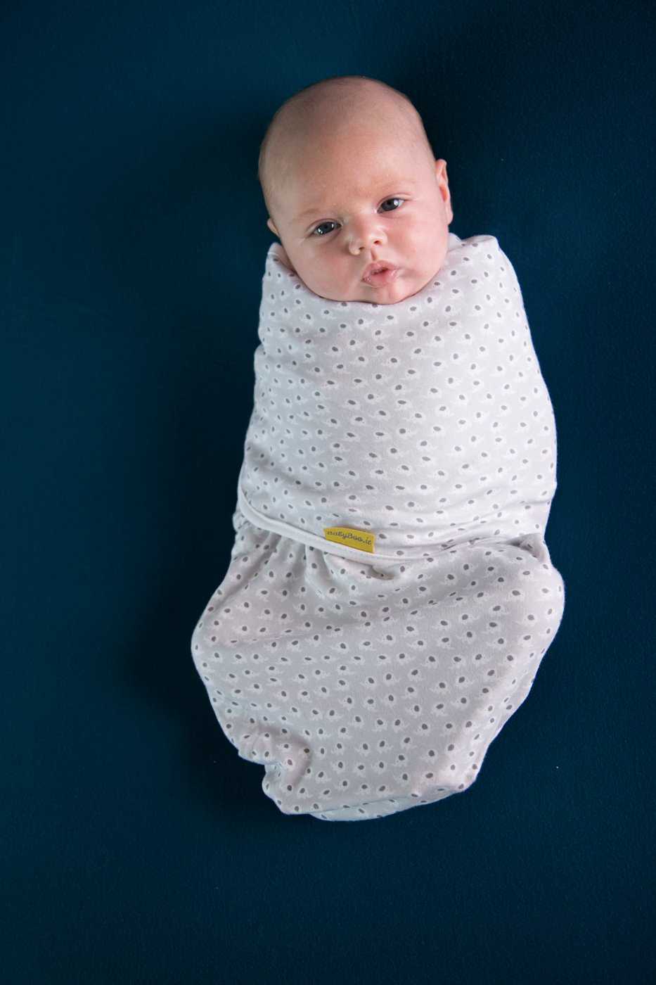 Grey Ellie elephant organic cotton SwaddleBoo